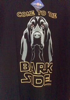 Autumn Arachnophobia