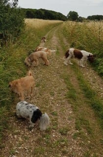 Is This The End Of The 6-Pack?